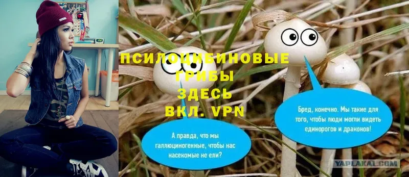 сколько стоит  Давлеканово  KRAKEN онион  Галлюциногенные грибы MAGIC MUSHROOMS 